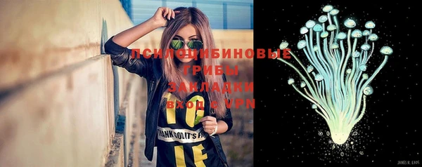 сатива Баксан