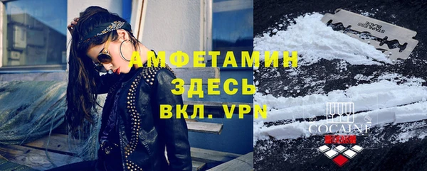 сатива Баксан