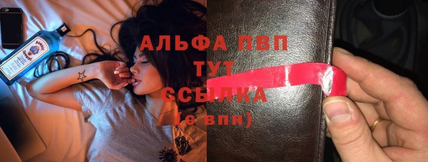 сатива Баксан